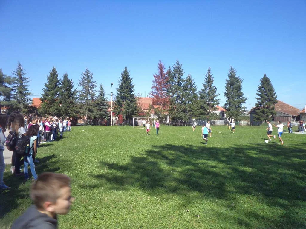 DSC05201